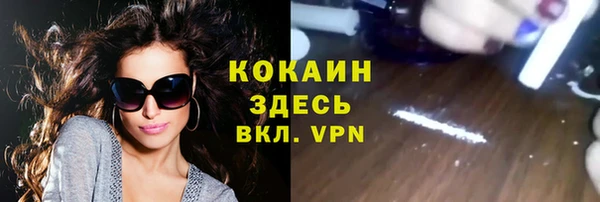 дживик Алексин