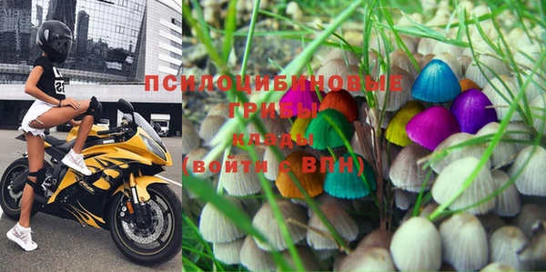 шишки Протвино