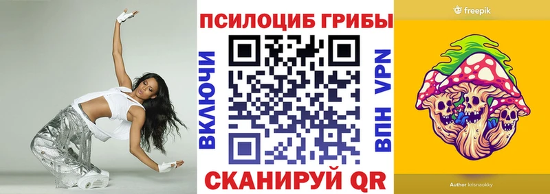 блэк спрут tor  Кимры  Псилоцибиновые грибы MAGIC MUSHROOMS  цены наркотик 